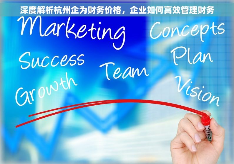 深度解析杭州企为财务价格，企业如何高效管理财务