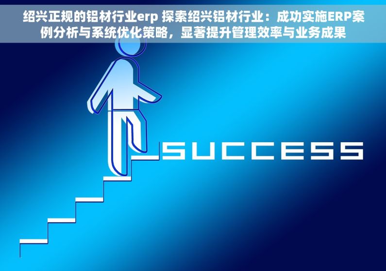 绍兴正规的铝材行业erp 探索绍兴铝材行业：成功实施ERP案例分析与系统优化策略，显著提升管理效率与业务成果
