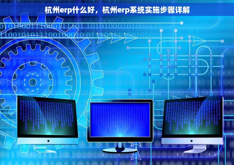 杭州erp什么好，杭州erp系统实施步骤详解
