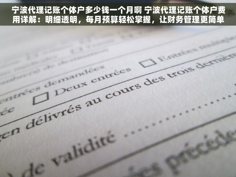 宁波代理记账个体户多少钱一个月啊 宁波代理记账个体户费用详解：明细透明，每月预算轻松掌握，让财务管理更简单