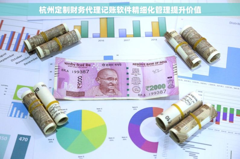 杭州定制财务代理记账软件精细化管理提升价值