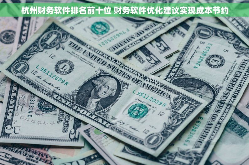 杭州财务软件排名前十位 财务软件优化建议实现成本节约