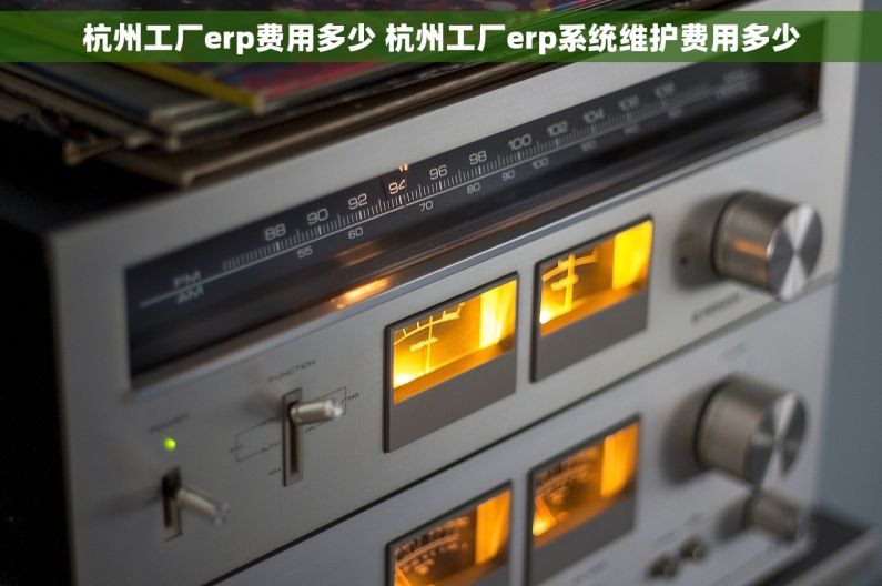 杭州工厂erp费用多少 杭州工厂erp系统维护费用多少