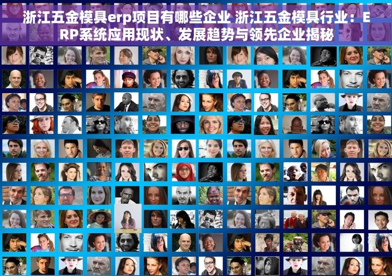 浙江五金模具erp项目有哪些企业 浙江五金模具行业：ERP系统应用现状、发展趋势与领先企业揭秘