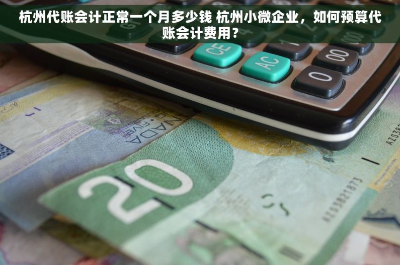 杭州代账会计正常一个月多少钱 杭州小微企业，如何预算代账会计费用？
