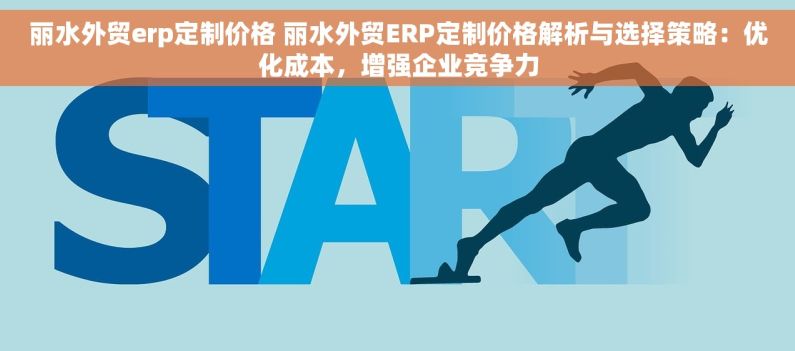 丽水外贸erp定制价格 丽水外贸ERP定制价格解析与选择策略：优化成本，增强企业竞争力