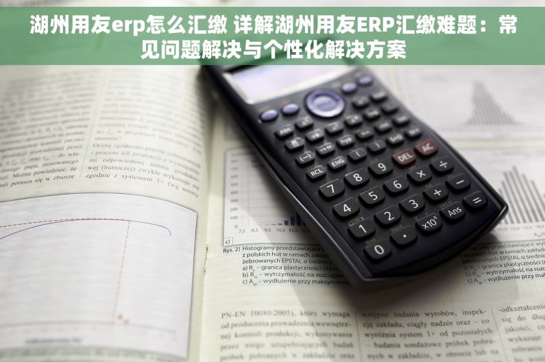 湖州用友erp怎么汇缴 详解湖州用友ERP汇缴难题：常见问题解决与个性化解决方案