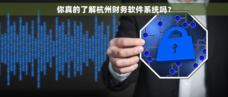 你真的了解杭州财务软件系统吗？