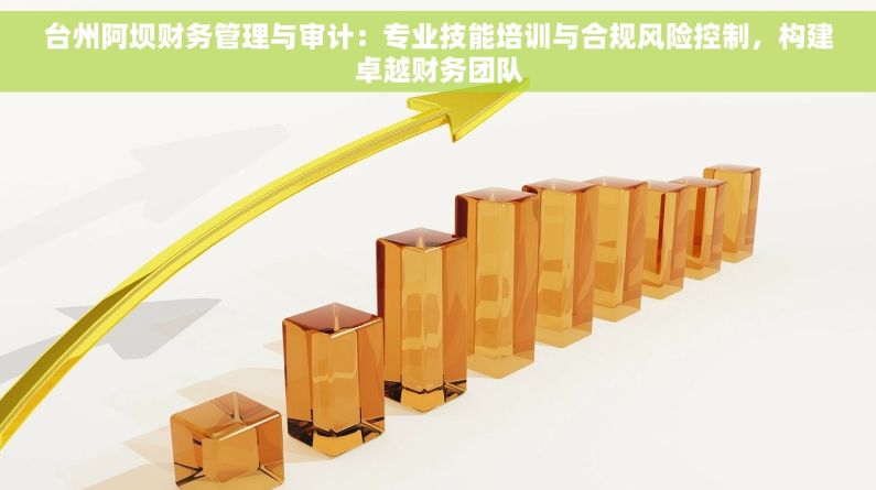 台州阿坝财务管理与审计：专业技能培训与合规风险控制，构建卓越财务团队