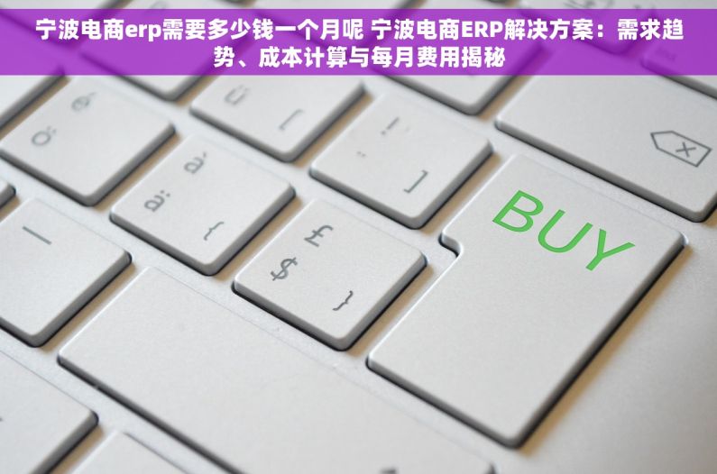 宁波电商erp需要多少钱一个月呢 宁波电商ERP解决方案：需求趋势、成本计算与每月费用揭秘