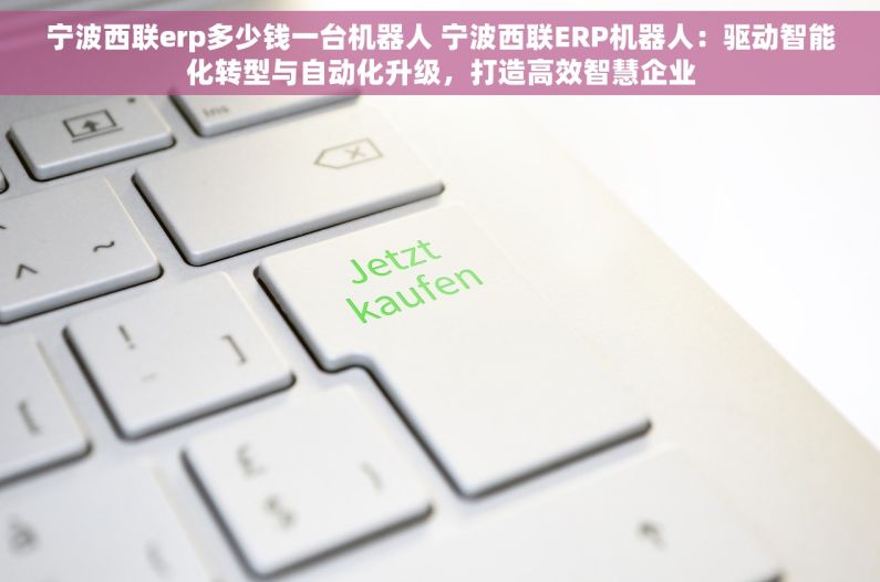 宁波西联erp多少钱一台机器人 宁波西联ERP机器人：驱动智能化转型与自动化升级，打造高效智慧企业