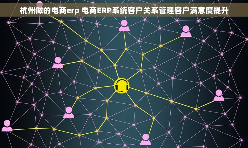 杭州做的电商erp 电商ERP系统客户关系管理客户满意度提升