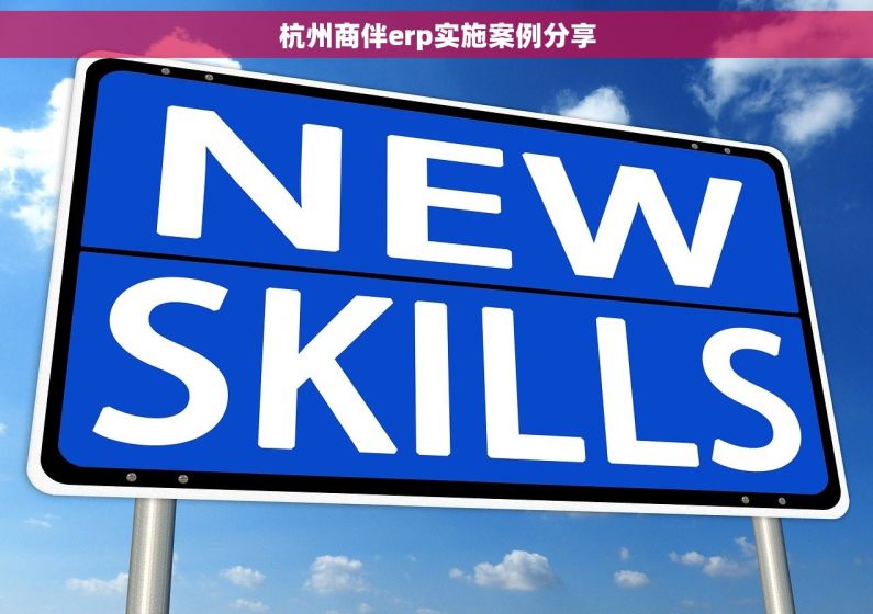 杭州商伴erp实施案例分享