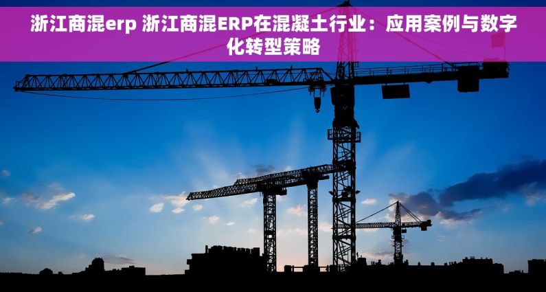 浙江商混erp 浙江商混ERP在混凝土行业：应用案例与数字化转型策略