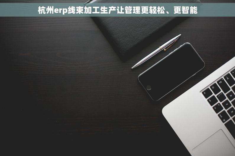 杭州erp线束加工生产让管理更轻松、更智能