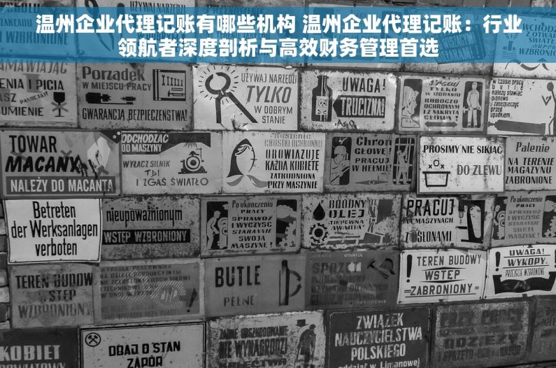 温州企业代理记账有哪些机构 温州企业代理记账：行业领航者深度剖析与高效财务管理首选