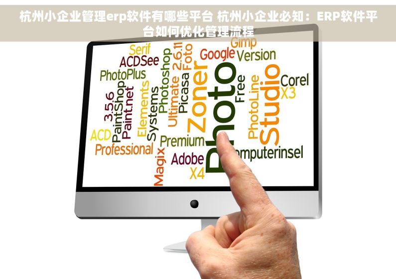 杭州小企业管理erp软件有哪些平台 杭州小企业必知：ERP软件平台如何优化管理流程