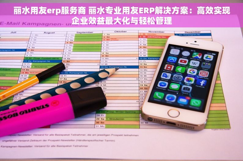 丽水用友erp服务商 丽水专业用友ERP解决方案：高效实现企业效益最大化与轻松管理