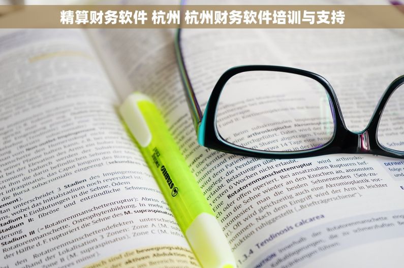 精算财务软件 杭州 杭州财务软件培训与支持