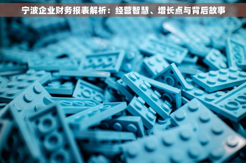 宁波企业财务报表解析：经营智慧、增长点与背后故事