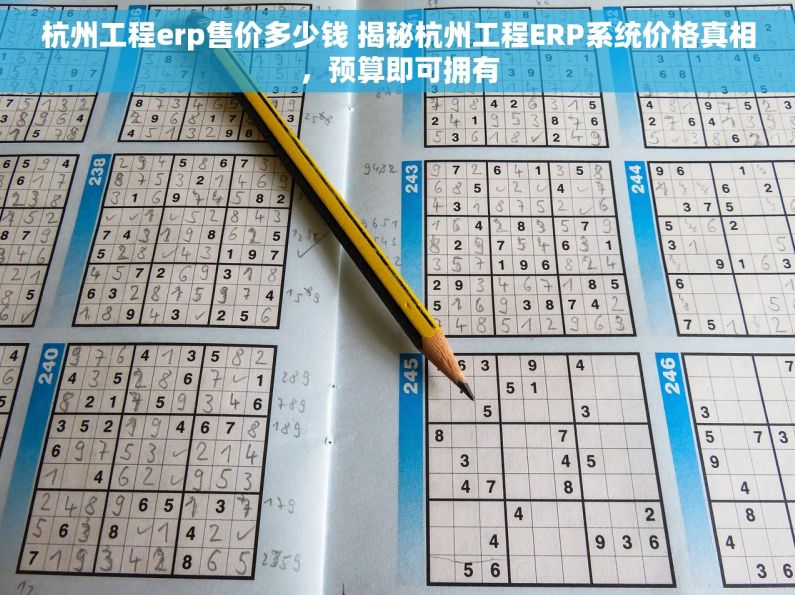 杭州工程erp售价多少钱 揭秘杭州工程ERP系统价格真相，预算即可拥有