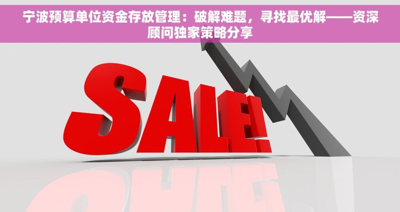 宁波预算单位资金存放管理：破解难题，寻找最优解——资深顾问独家策略分享