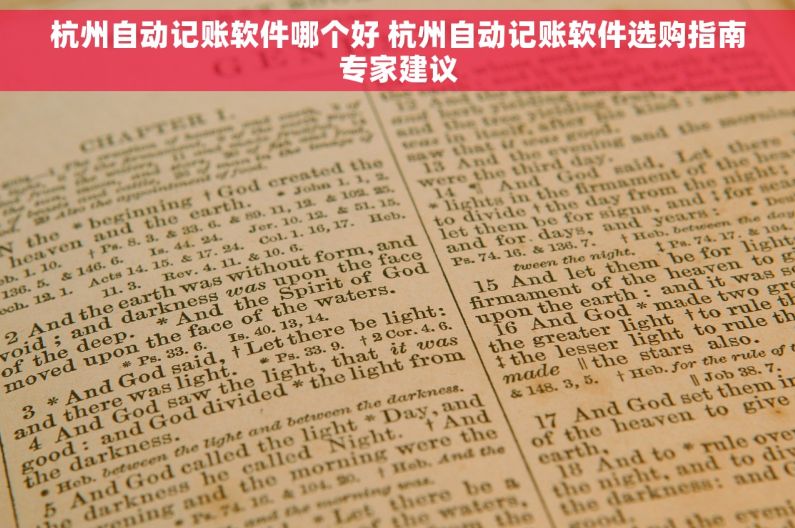 杭州自动记账软件哪个好 杭州自动记账软件选购指南专家建议