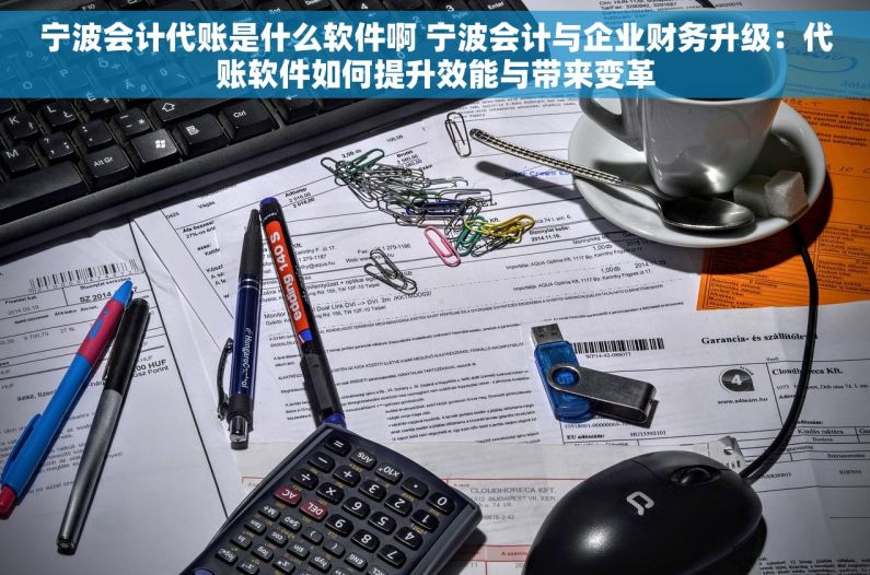 宁波会计代账是什么软件啊 宁波会计与企业财务升级：代账软件如何提升效能与带来变革