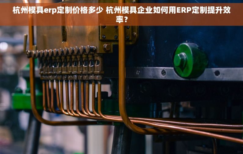 杭州模具erp定制价格多少 杭州模具企业如何用ERP定制提升效率？
