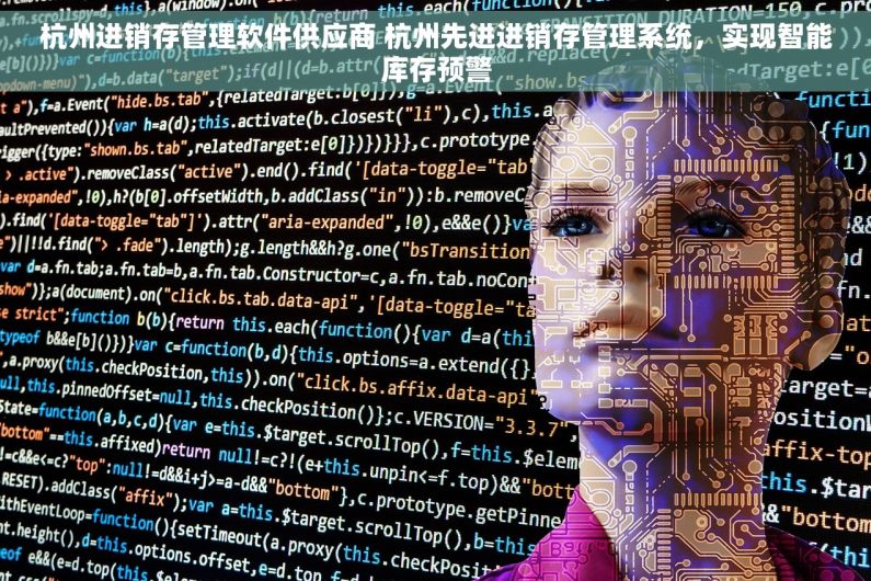 杭州进销存管理软件供应商 杭州先进进销存管理系统，实现智能库存预警
