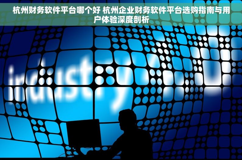 杭州财务软件平台哪个好 杭州企业财务软件平台选购指南与用户体验深度剖析