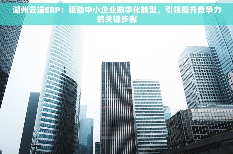 湖州云端ERP：驱动中小企业数字化转型，引领提升竞争力的关键步骤
