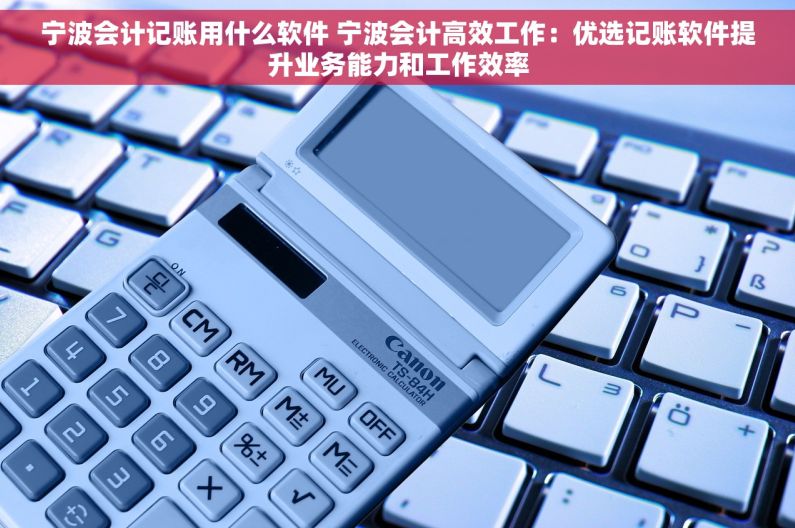宁波会计记账用什么软件 宁波会计高效工作：优选记账软件提升业务能力和工作效率