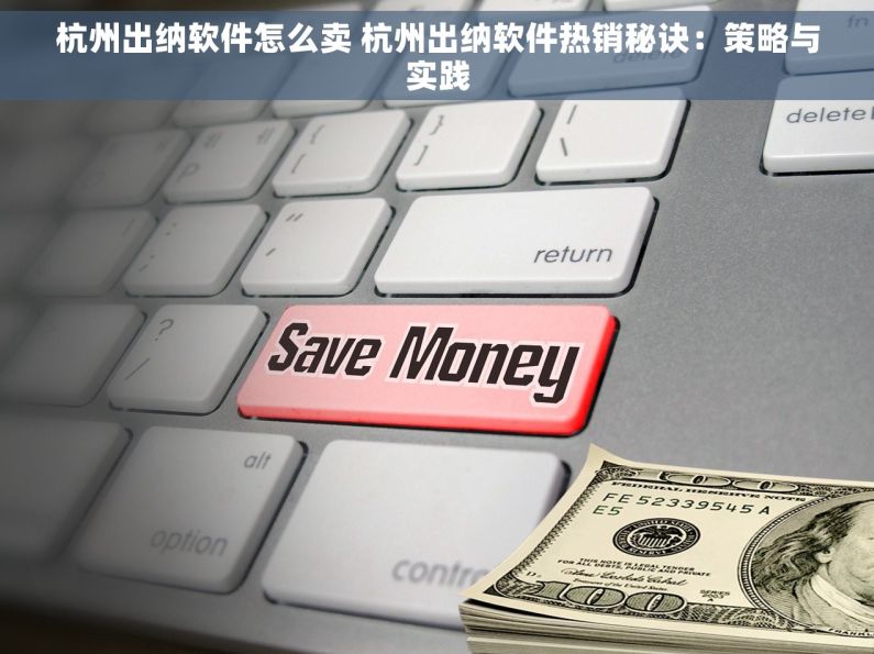 杭州出纳软件怎么卖 杭州出纳软件热销秘诀：策略与实践
