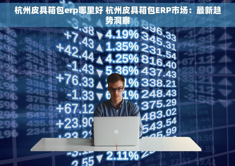 杭州皮具箱包erp哪里好 杭州皮具箱包ERP市场：最新趋势洞察