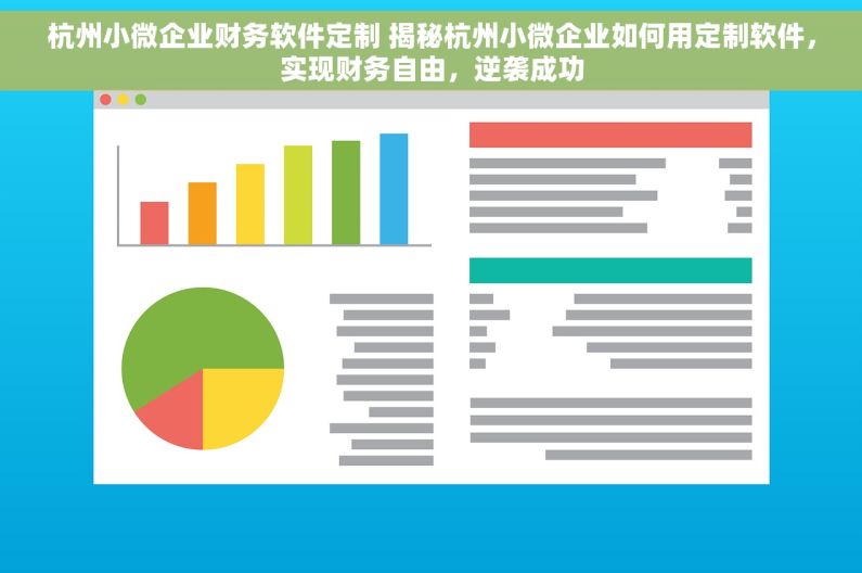杭州小微企业财务软件定制 揭秘杭州小微企业如何用定制软件，实现财务自由，逆袭成功