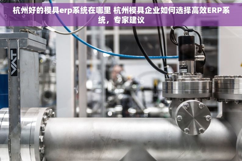 杭州好的模具erp系统在哪里 杭州模具企业如何选择高效ERP系统，专家建议