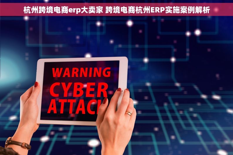 杭州跨境电商erp大卖家 跨境电商杭州ERP实施案例解析