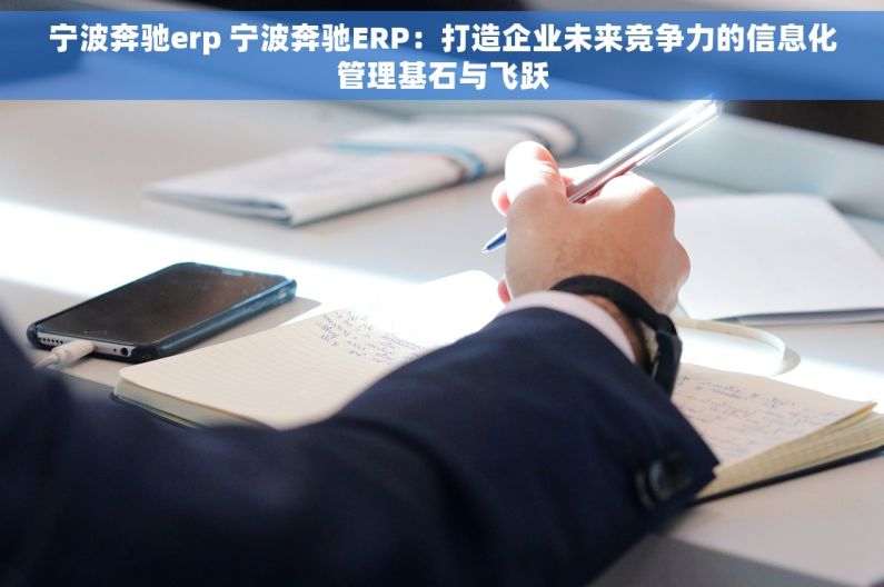 宁波奔驰erp 宁波奔驰ERP：打造企业未来竞争力的信息化管理基石与飞跃