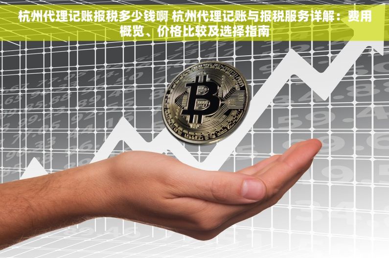 杭州代理记账报税多少钱啊 杭州代理记账与报税服务详解：费用概览、价格比较及选择指南