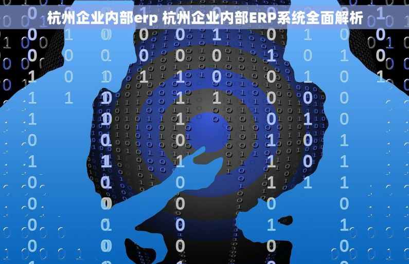 杭州企业内部erp 杭州企业内部ERP系统全面解析
