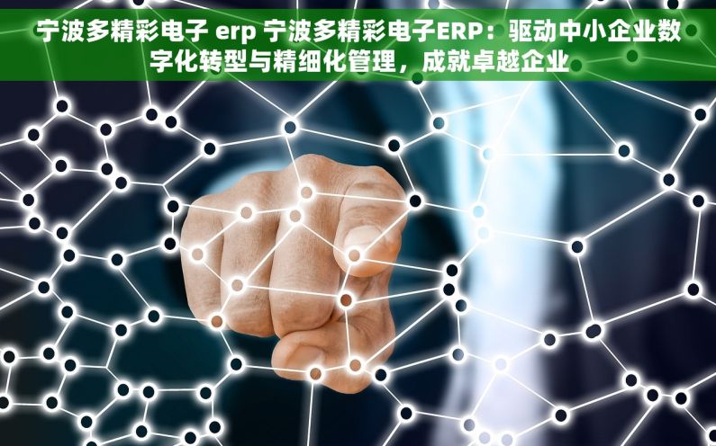 宁波多精彩电子 erp 宁波多精彩电子ERP：驱动中小企业数字化转型与精细化管理，成就卓越企业