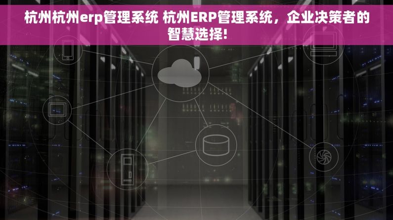 杭州杭州erp管理系统 杭州ERP管理系统，企业决策者的智慧选择!