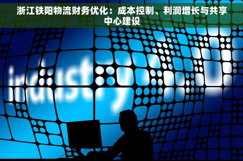 浙江铁阳物流财务优化：成本控制、利润增长与共享中心建设