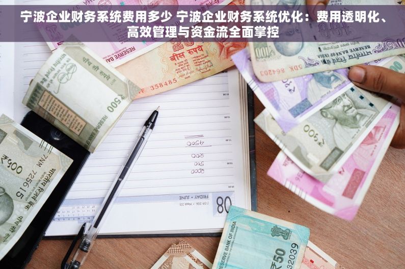 宁波企业财务系统费用多少 宁波企业财务系统优化：费用透明化、高效管理与资金流全面掌控