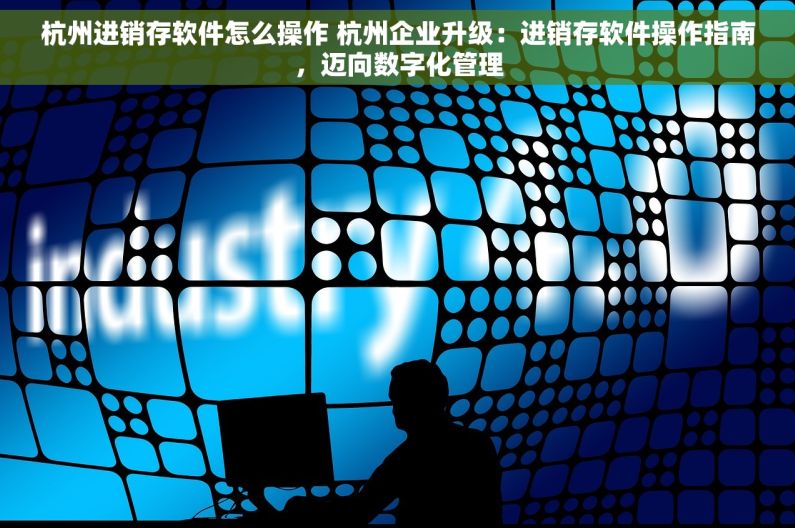 杭州进销存软件怎么操作 杭州企业升级：进销存软件操作指南，迈向数字化管理