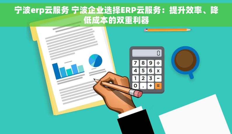 宁波erp云服务 宁波企业选择ERP云服务：提升效率、降低成本的双重利器