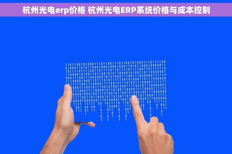 杭州光电erp价格 杭州光电ERP系统价格与成本控制