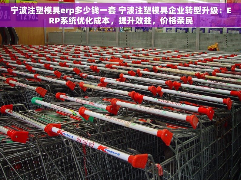 宁波注塑模具erp多少钱一套 宁波注塑模具企业转型升级：ERP系统优化成本，提升效益，价格亲民