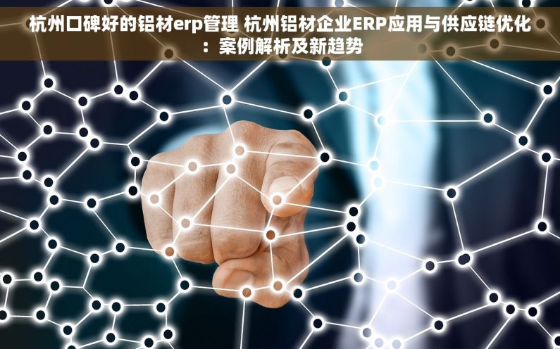 杭州口碑好的铝材erp管理 杭州铝材企业ERP应用与供应链优化：案例解析及新趋势